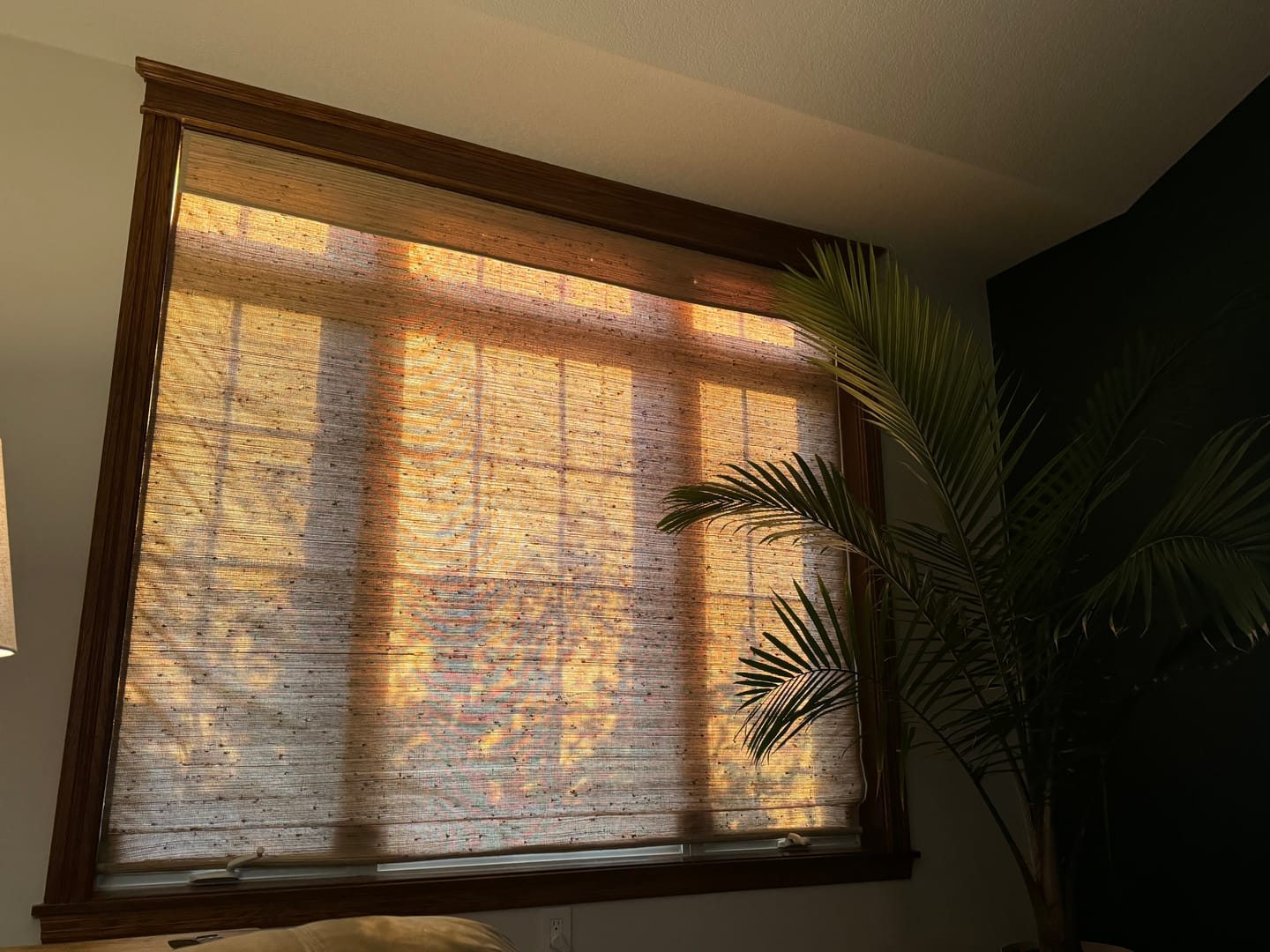 Customer photo review of SmartWings Motorized Woven Wood Shades 70% Blackout Privacy Orithyia