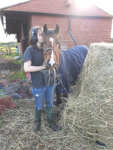 Customer photo review of Rhinegold Torrent Outdoor Rug