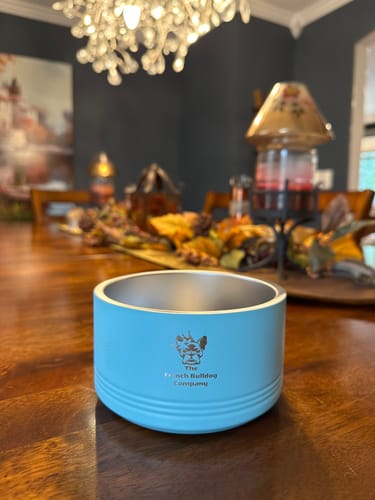 Customer photo review of Pet Bowl | 18 oz