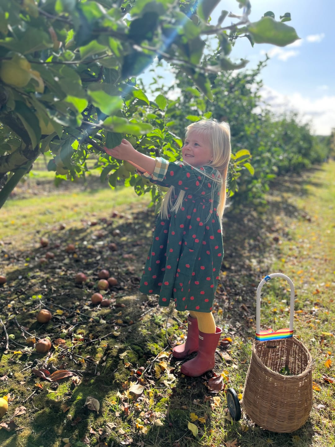 Customer photo review of Apple Day After Day Reversible Corduroy Pocket Dress