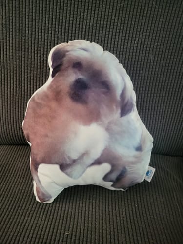 Customer photo review of Create A Custom Dog Pillow