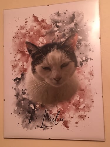Anne D. review of Your Cat as Watercolor Portrait image 1 out of 1