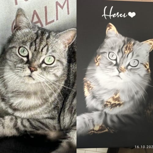 Customer photo review of Gold Pawtrait