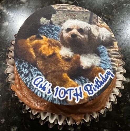 Customer photo review of 15 x 5 cm Pre-cut Standard Cupcake Custom Edible Icing Images