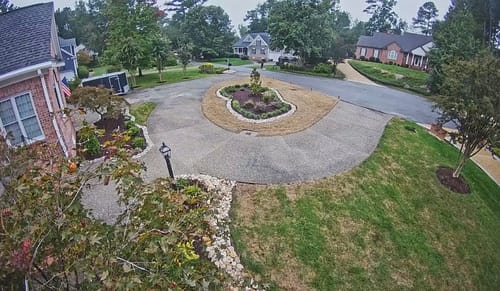 Customer photo review of GCI Turf Type Tall fescue Grass Seed