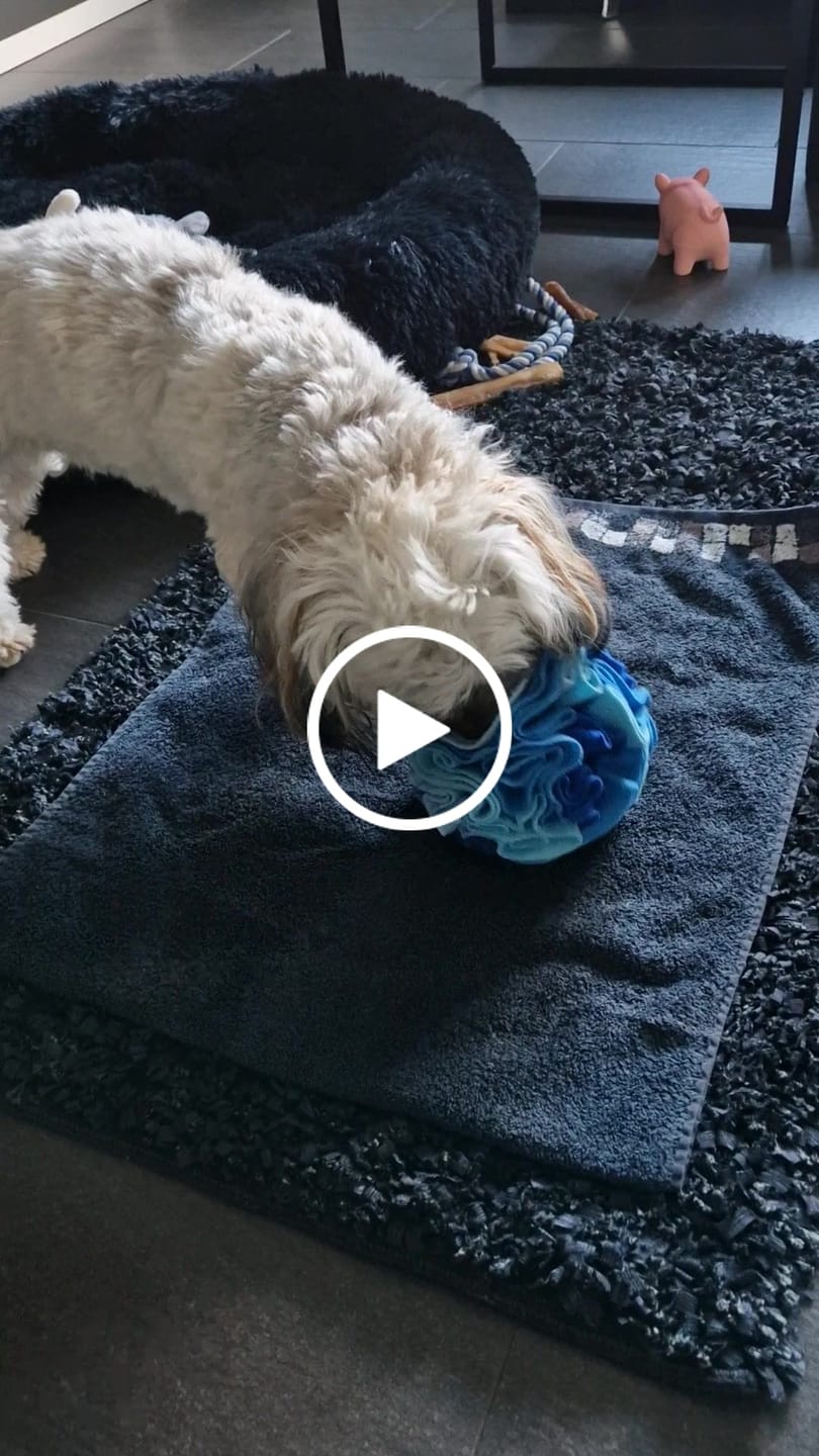 Customer video review of Emmalove - Schnüffelball