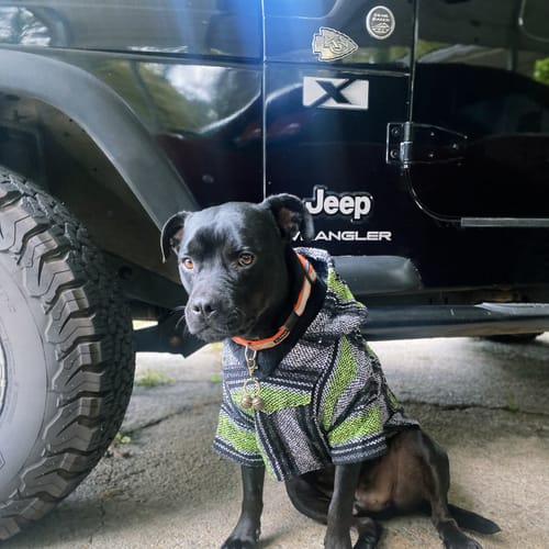 Customer photo review of Playa Poncho - Surprise Color