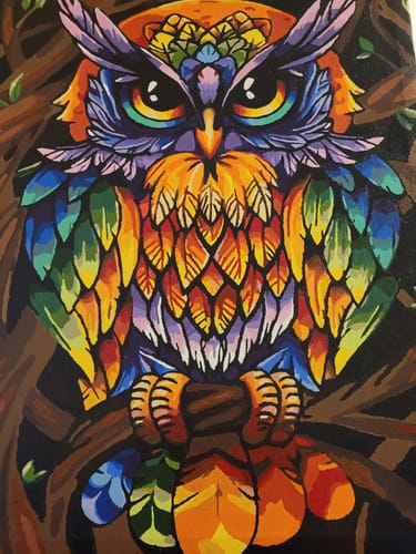 Customer photo review of Rainbow owl