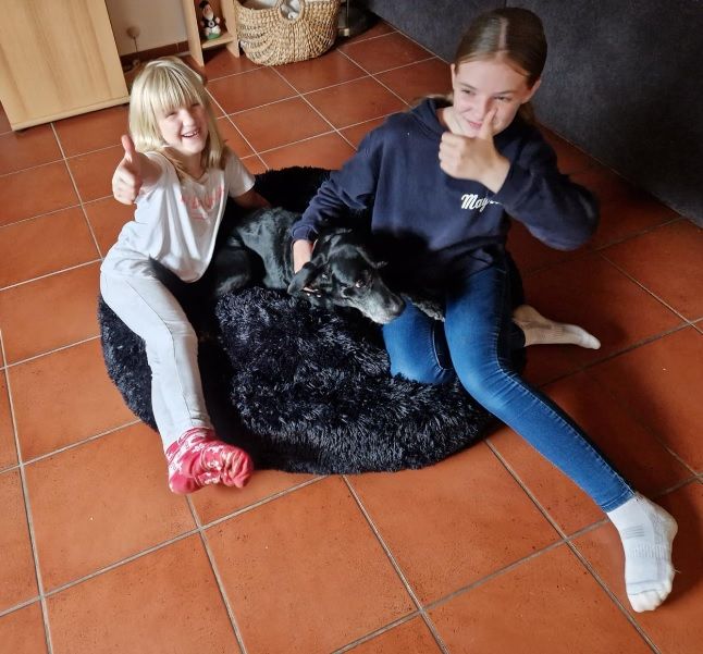 Customer photo review of Belune® Flauschiges Hundebett mit waschbarem Bezug