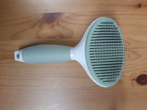 Customer photo review of Michu Cream Round-Head Pet Grooming Brush - Perfect for Gentle Coat Care