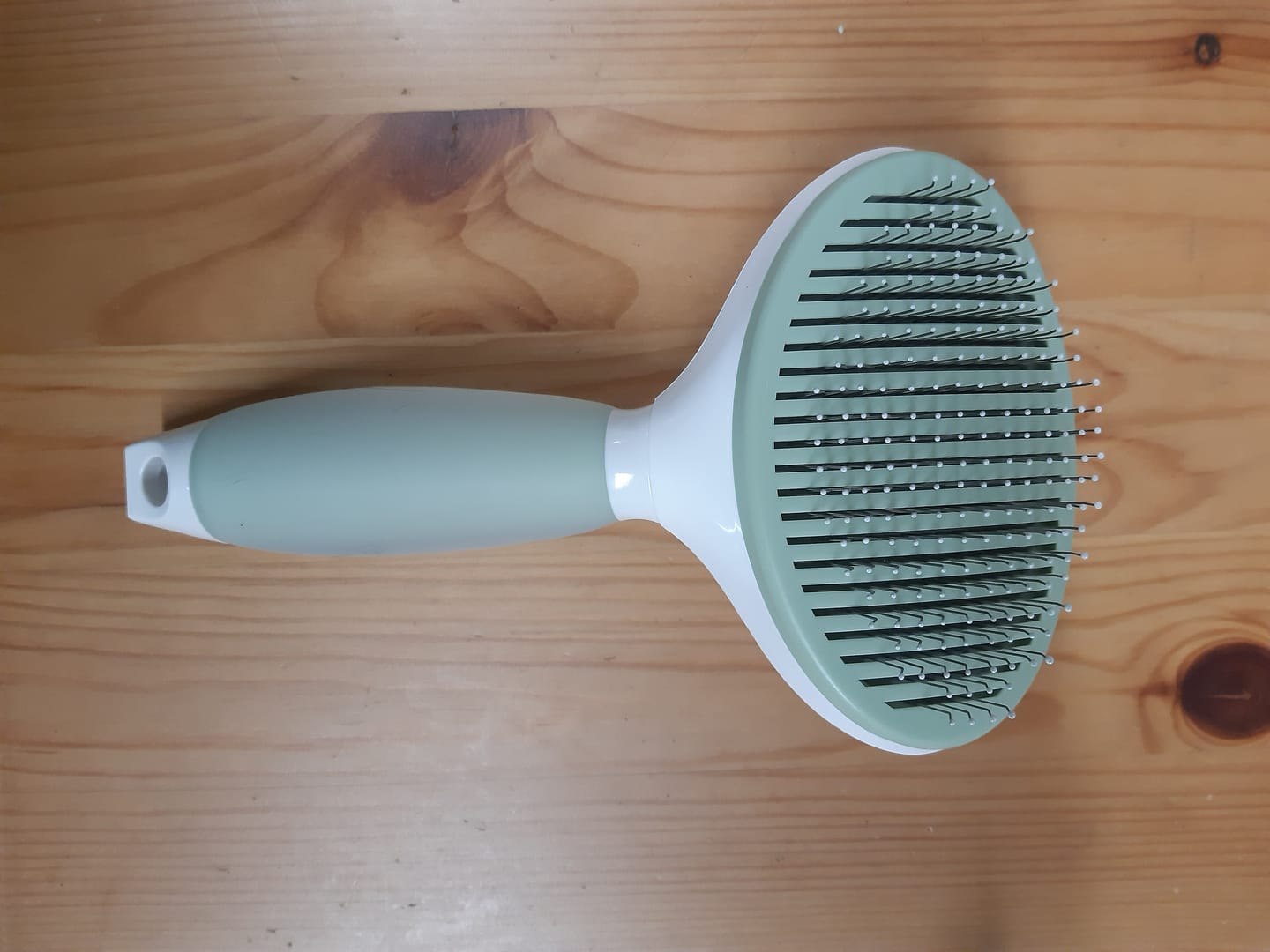Customer photo review of Michu Cream Round-Head Pet Grooming Brush - Perfect for Gentle Coat Care