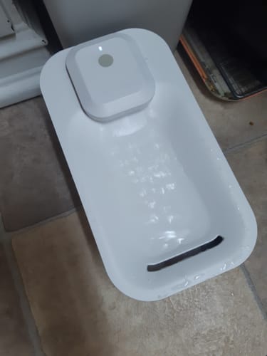 Customer photo review of Michu Wireless Cat Water Fountain - Battery Operated Dispenser for Healthy Hydration