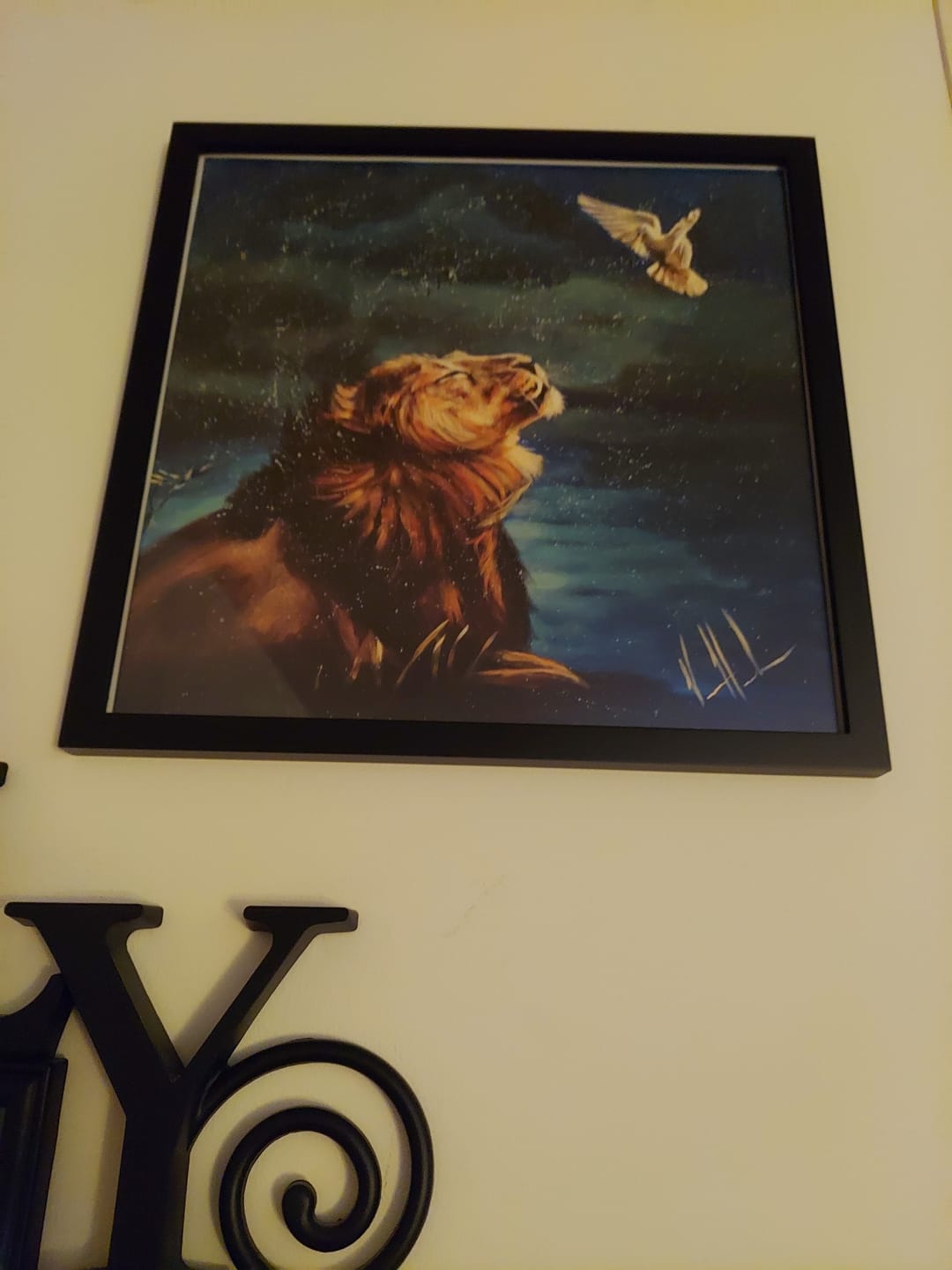 Customer photo review of Eternal Reign
