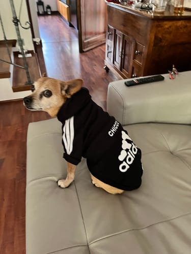 Customer photo review of Felpa "Adidog" Nera Personalizzabile con nome