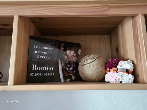 Customer photo review of Hunde Gedenktafel mit Foto & Spruch (UV- UND WETTERFEST)