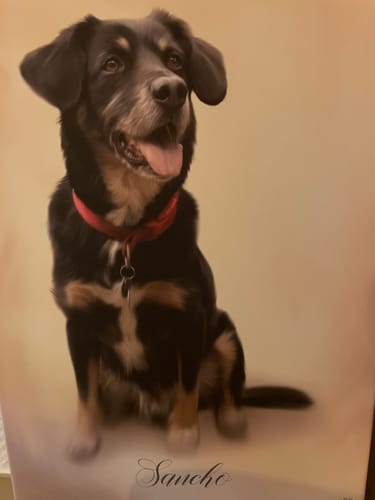 Customer photo review of Öl Pawtrait