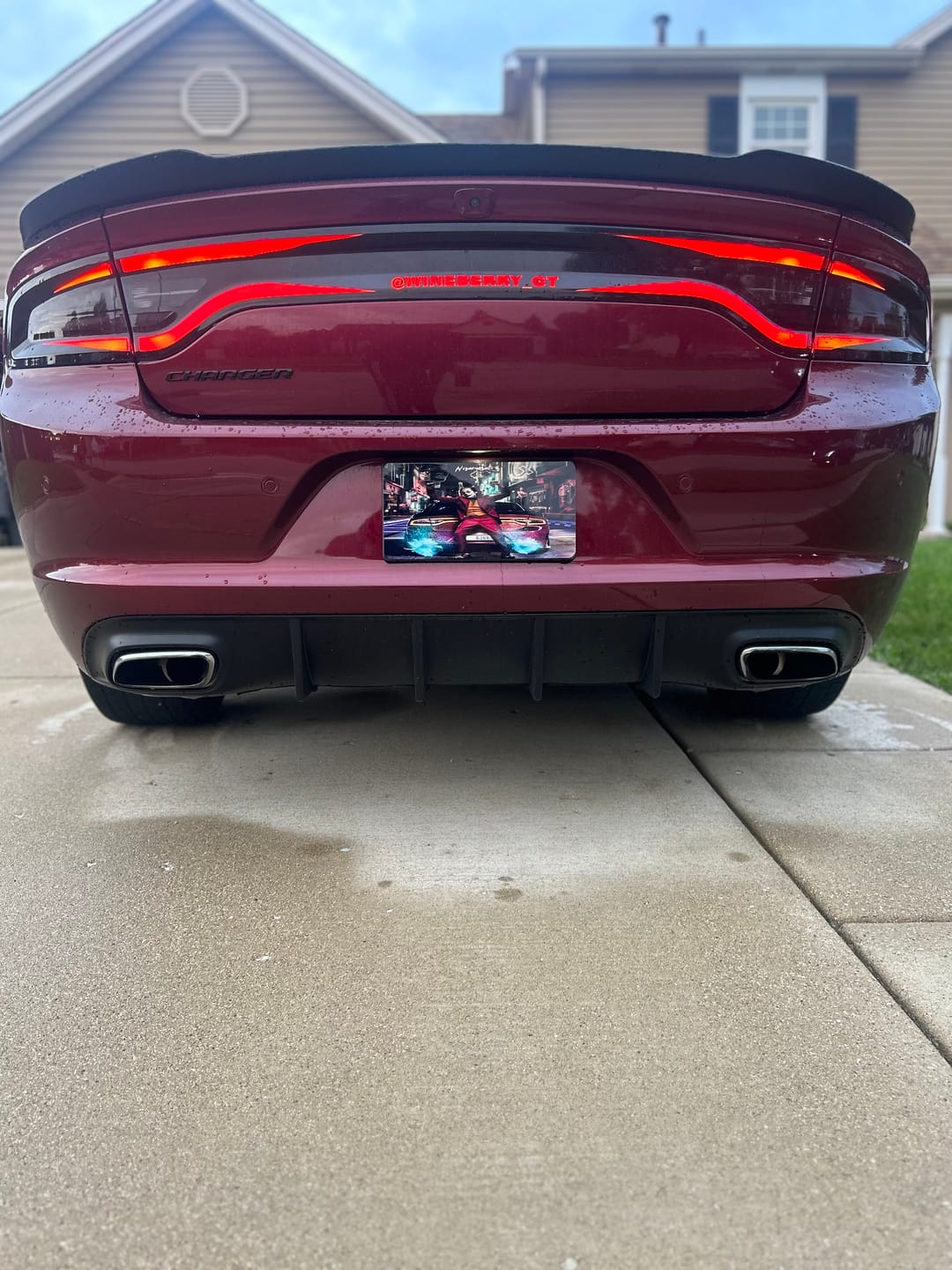 Customer photo review of Complete Your Purchase