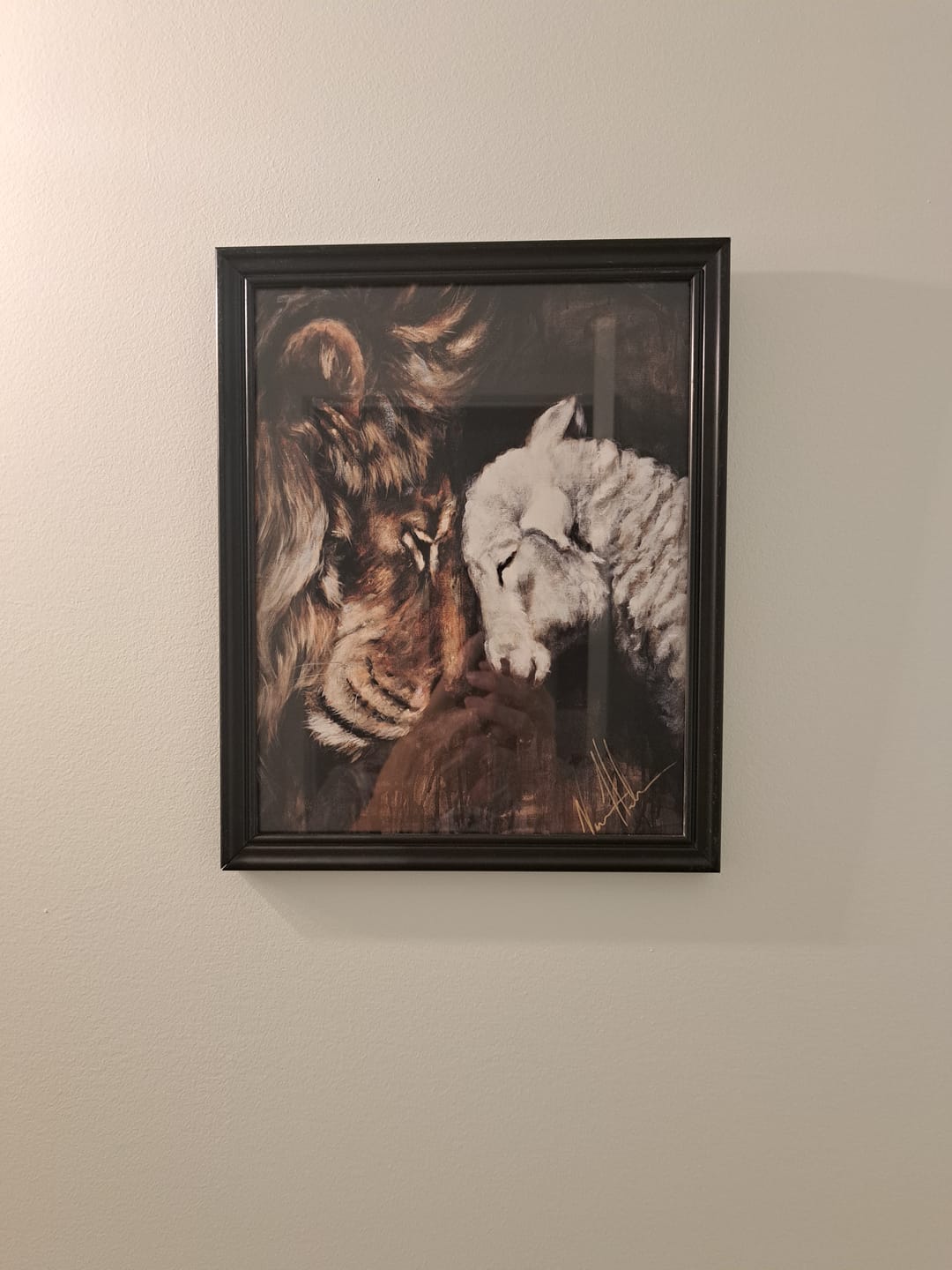 Customer photo review of Compassion of a King