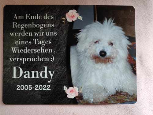 Customer photo review of Hunde-Türschild mit Foto & Wunschtext (UV- UND WETTERFEST)