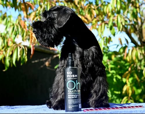 Customer photo review of Oh, Touch Me Texturizing Spray