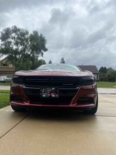 Customer photo review of Complete Your Purchase