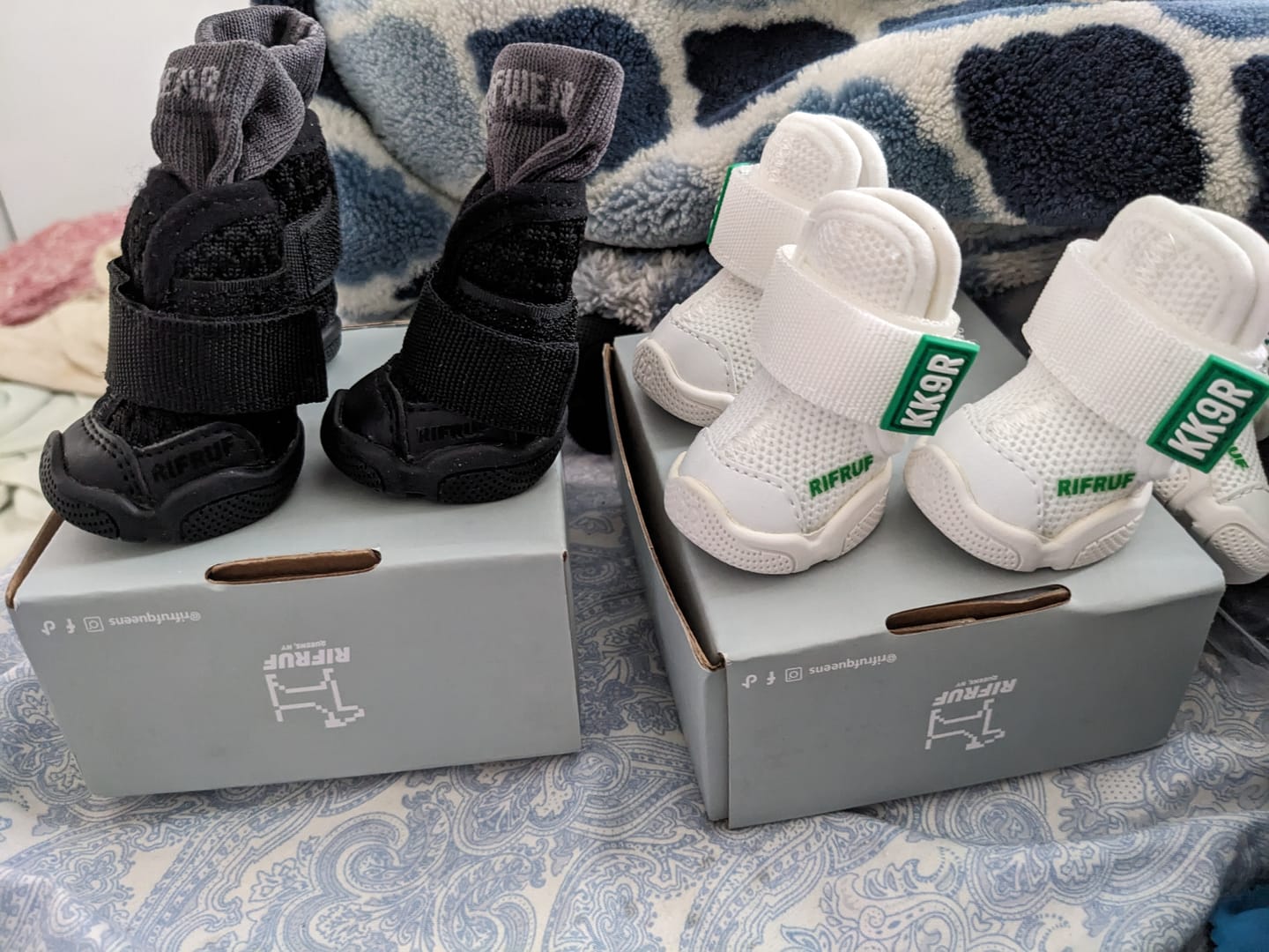 Customer photo review of Caesar 1S