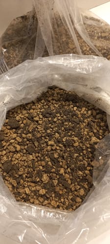 Customer photo review of SUBSTRATO SPECIFICO PER CADUCIFOGLIE E LATIFOGLIE GOLD CB®