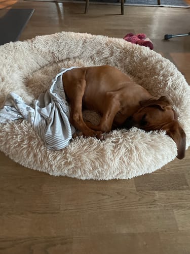 Customer photo review of CalmBed - Motverkar stress & hjälper mot ångest