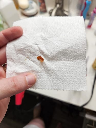 Customer photo review of Wax Lab OTG™