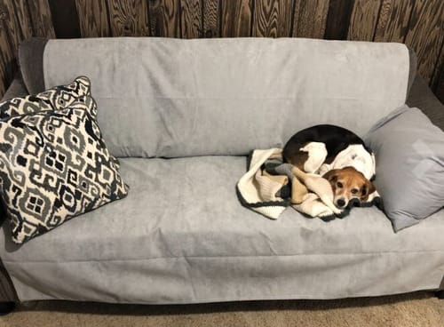 Customer photo review of Waterproof Anti-cat scratch Sofa Cover，Blanket Couch Cover