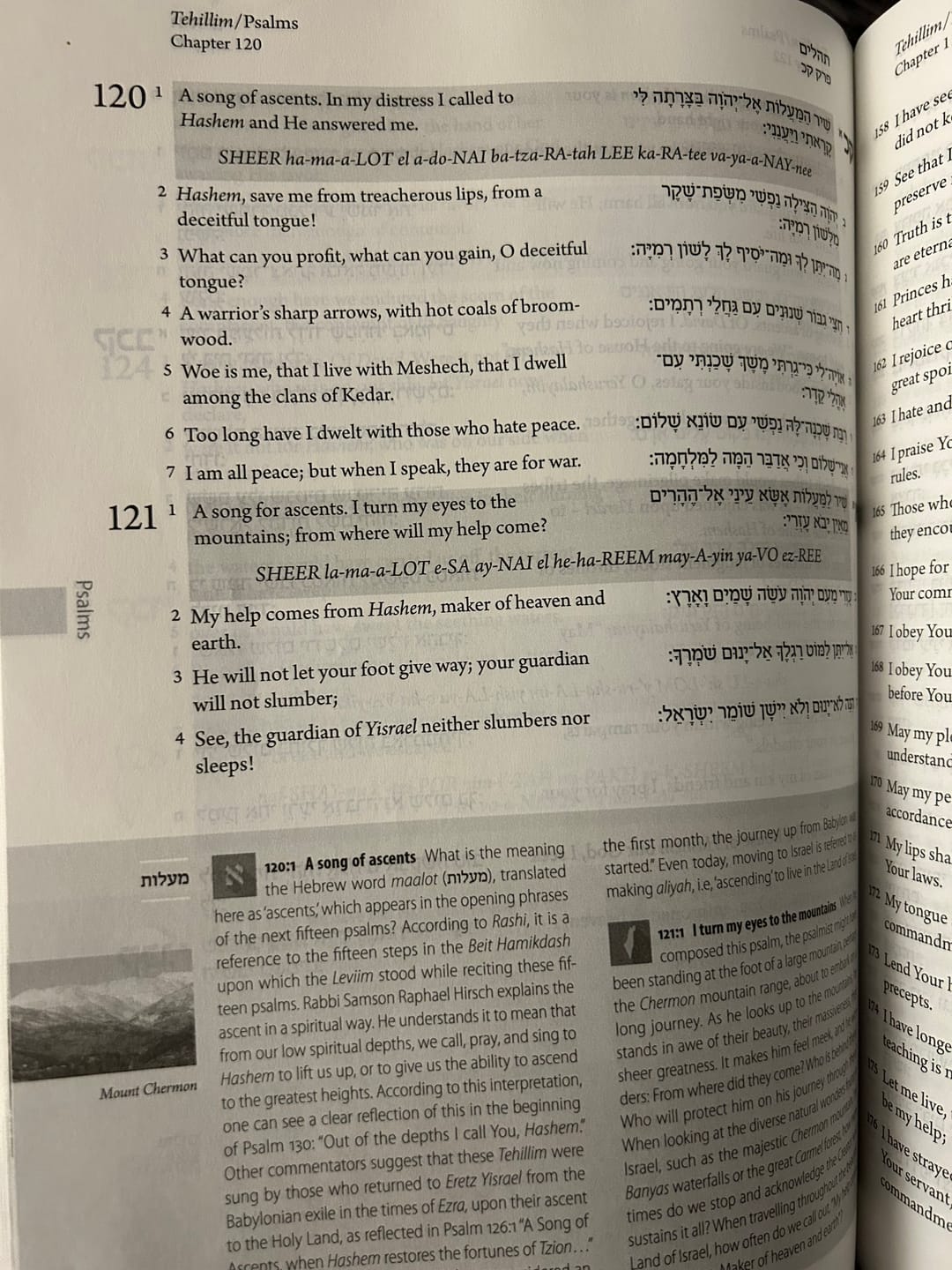 Customer photo review of The Israel Bible - Hardcover
