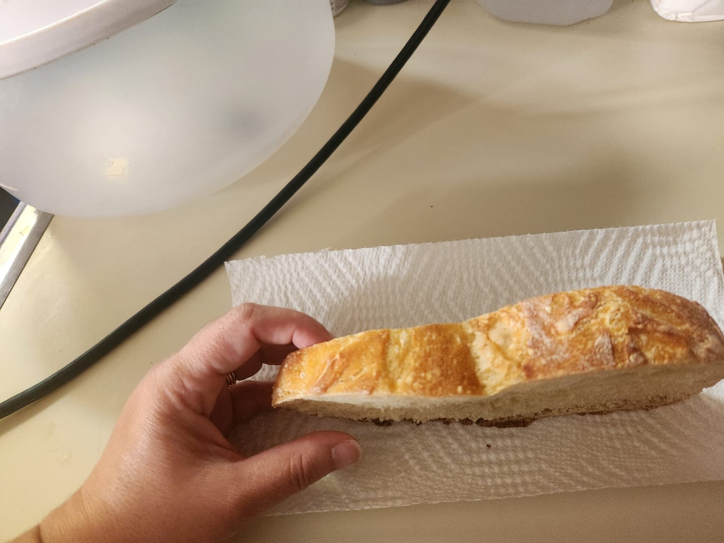 Customer photo review of Dehydrated Sourdough Starter Kit