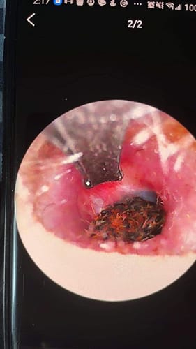 Customer photo review of Wax Lab OTG™