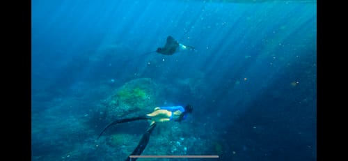 Customer photo review of Luna Vibrant Orange Long Sleeve