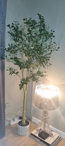 Customer photo review of Kunst Olijfboom 180cm