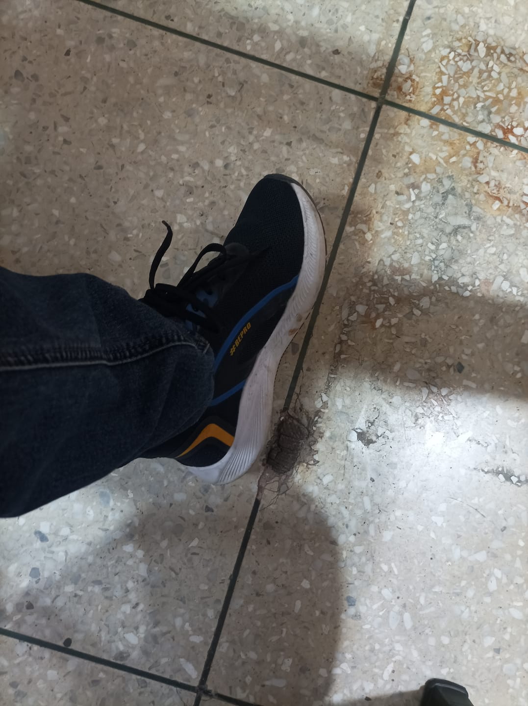 Customer photo review of Bacca Bucci VICTORIA Formal Shoes with Superior Comfort | All Day Wear Office Or Party Lace-up Shoes
