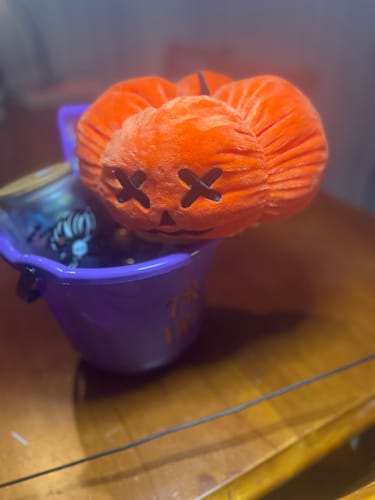 Customer photo review of Halloween Fidget Pack
