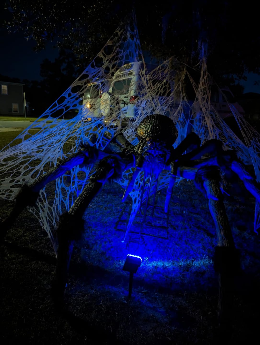 Customer photo review of TSUN Solar Spotlights For Trees Blue
