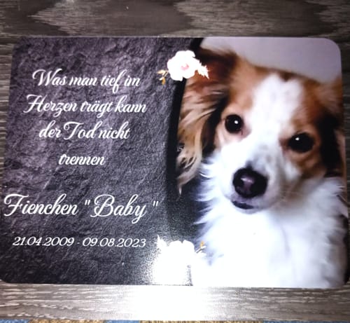 Customer photo review of Hunde Gedenktafel mit Foto & Spruch (UV- UND WETTERFEST)