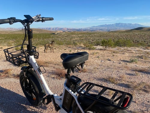 Customer photo review of U7 Step-thru Foldable Fat Tire Electric Bike