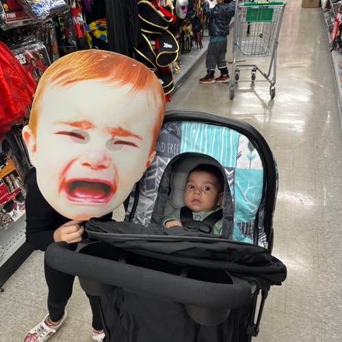 Customer photo review of Winter - Patchwork Deer - Aqua and Grey