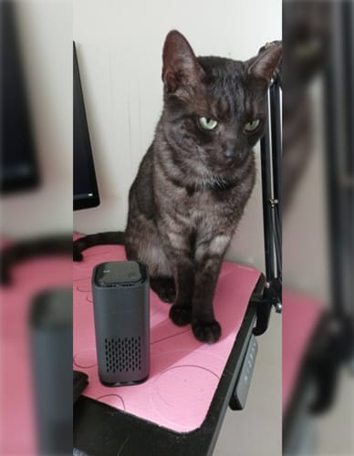 Customer photo review of PurrAir™ - Eliminiere Katzengerüche auf Autopilot