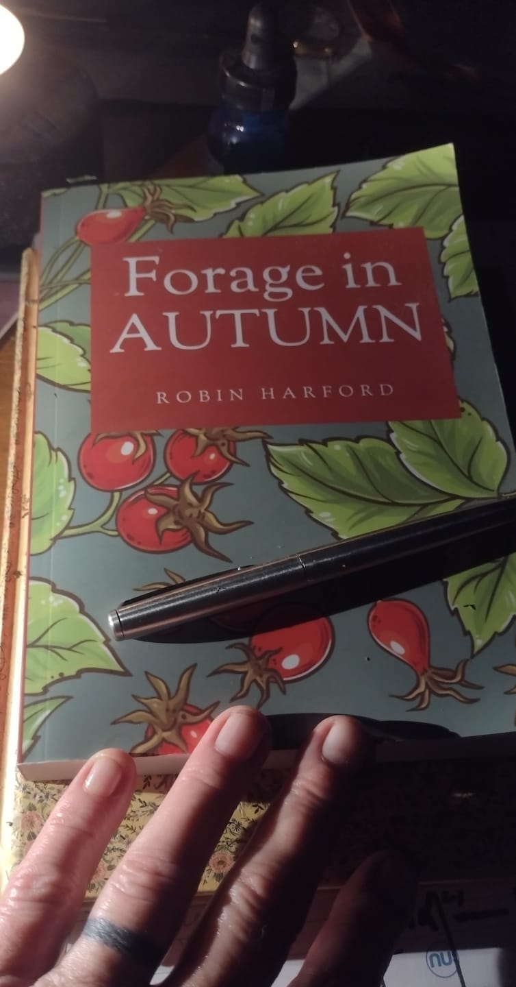 Customer photo review of Forage in Autumn: The Food and Medicine of Britain’s Wild Plants
