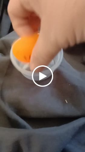 Customer video review of Jelly Mochi Squishy Animals