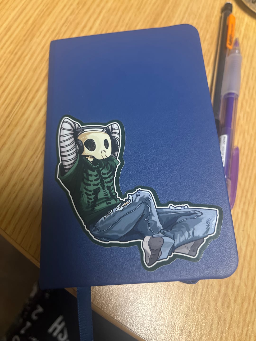 Customer photo review of Aesthetic Skeleton Stickers