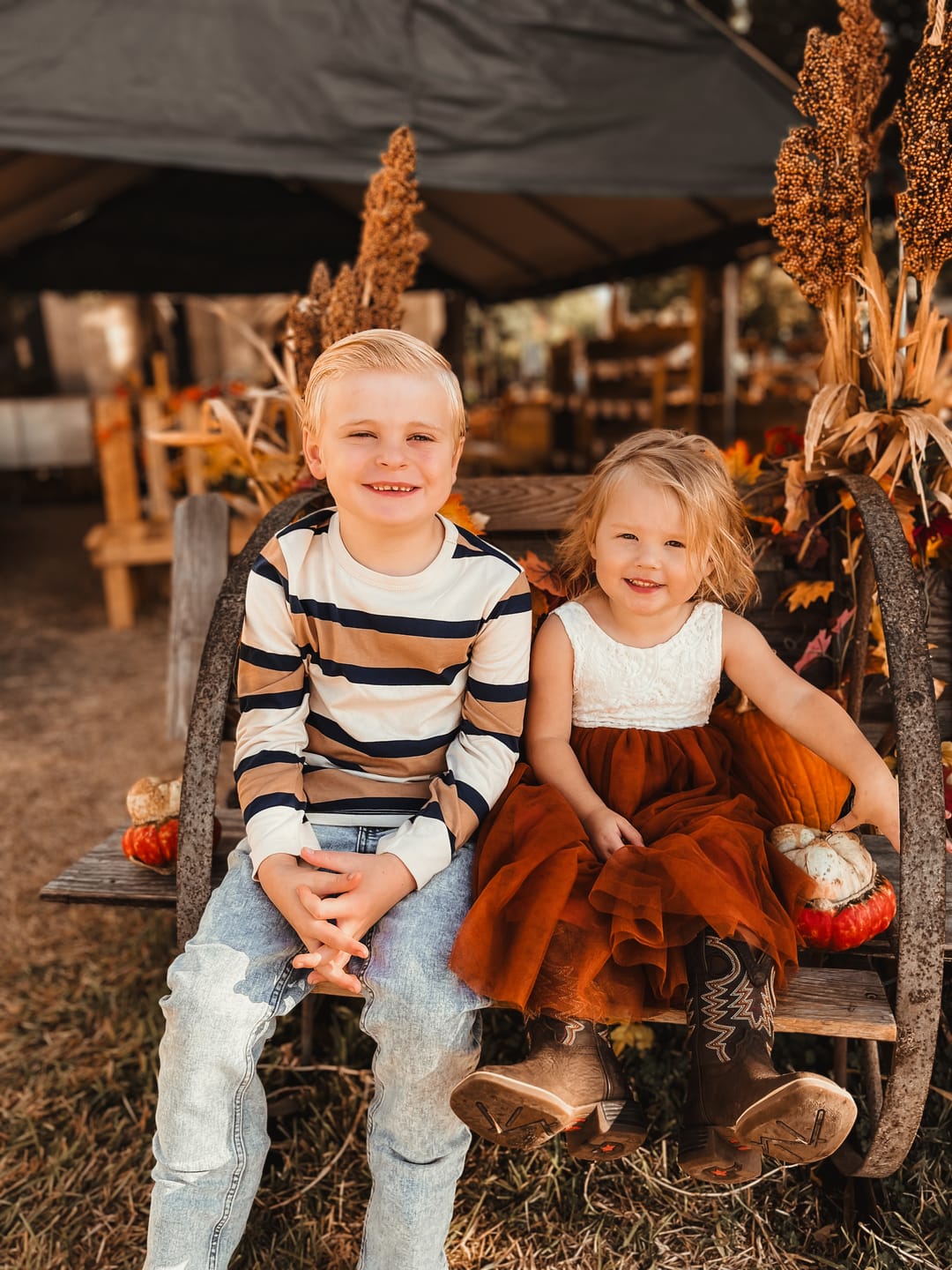 Customer photo review of The Pumpkin Spice Preset Collection