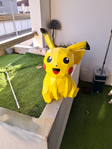 Customer photo review of Patrons Pikachu (pdf)