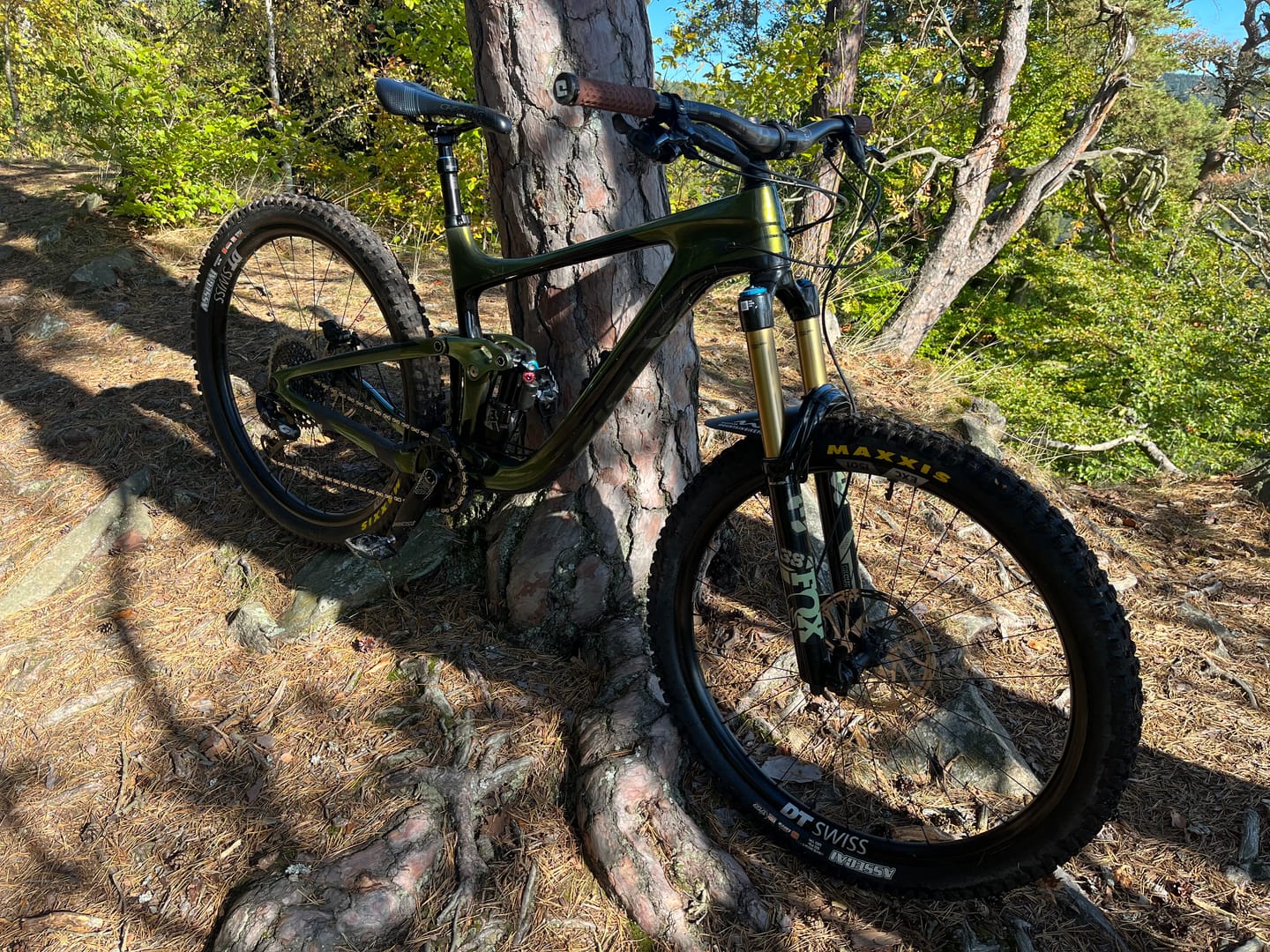 Customer photo review of Custom Fox 38 Decal