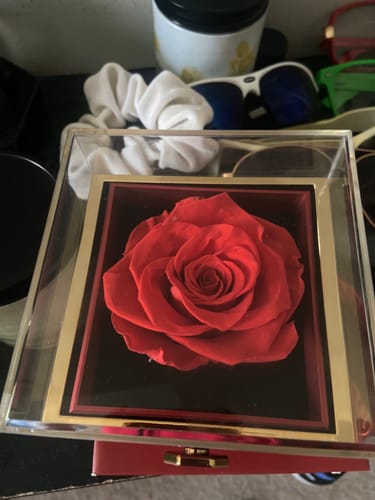 Customer photo review of Eternal Rose Box - W/ Engraved Necklace & Real Rose.