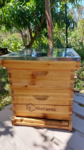 Customer photo review of BeeCastle Hives 10 Frame Wax Coat Complete Beehive Kit:2 Designed Deep Bee Boxes and 1 Super Medium Box,Includes Premium Wooden Frames and Beeswax-Plastic Foundation